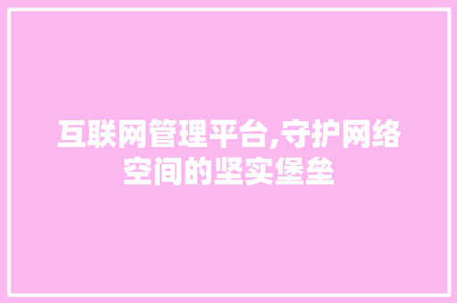 互联网管理平台,守护网络空间的坚实堡垒