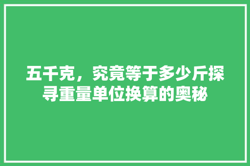 五千克，究竟等于多少斤探寻重量单位换算的奥秘