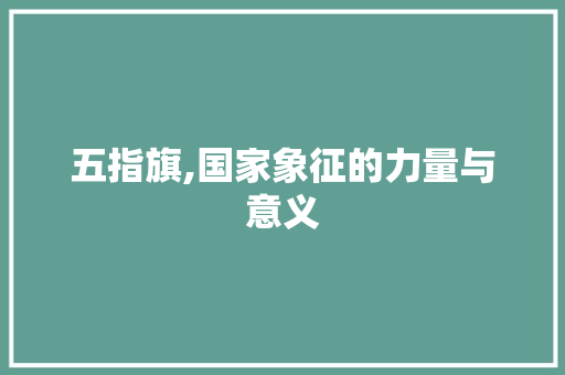 五指旗,国家象征的力量与意义 五指旗,国家象征的力量与意义 神马SEO