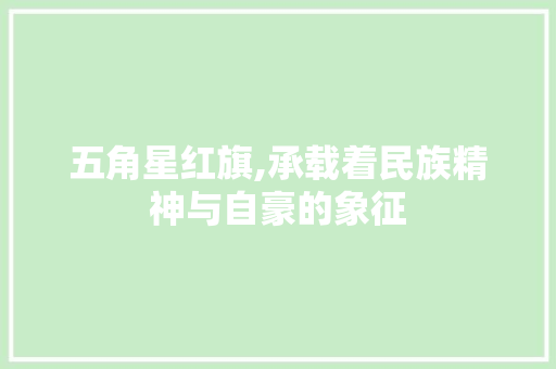 五角星红旗,承载着民族精神与自豪的象征 五角星红旗,承载着民族精神与自豪的象征 神马SEO