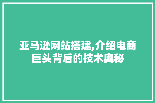 亚马逊网站搭建,介绍电商巨头背后的技术奥秘 亚马逊网站搭建,介绍电商巨头背后的技术奥秘 百度SEO