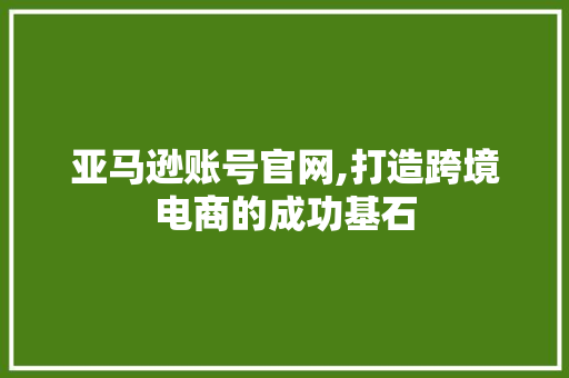 亚马逊账号官网,打造跨境电商的成功基石 亚马逊账号官网,打造跨境电商的成功基石 网站建设公司