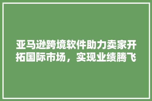 亚马逊跨境软件助力卖家开拓国际市场，实现业绩腾飞 亚马逊跨境软件助力卖家开拓国际市场，实现业绩腾飞 必应SEO