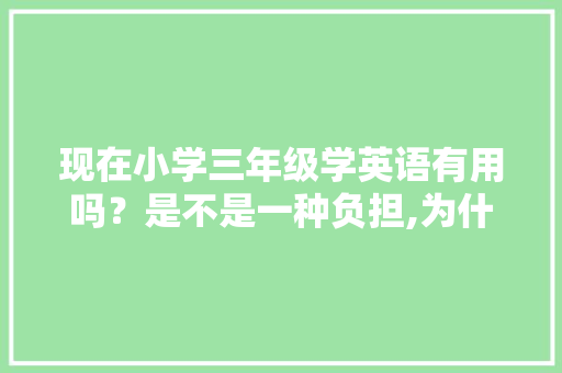 现在小学三年级学英语有用吗？是不是一种负担,为什么小学开展英语课程。 现在小学三年级学英语有用吗？是不是一种负担,为什么小学开展英语课程。 百度SEO