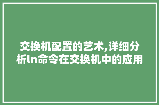 交换机配置的艺术,详细分析ln命令在交换机中的应用 交换机配置的艺术,详细分析ln命令在交换机中的应用 神马SEO