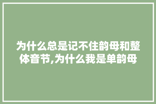 为什么总是记不住韵母和整体音节,为什么我是单韵母拼音。 为什么总是记不住韵母和整体音节,为什么我是单韵母拼音。 网站建设公司