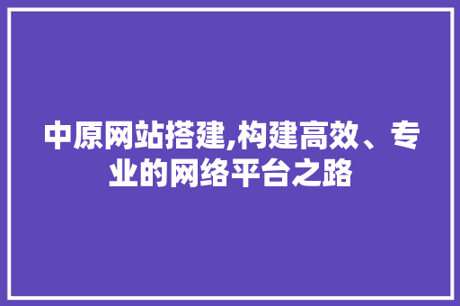 中原网站搭建,构建高效、专业的网络平台之路 中原网站搭建,构建高效、专业的网络平台之路 神马SEO