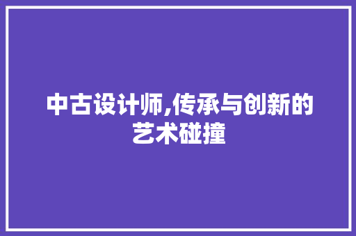 中古设计师,传承与创新的艺术碰撞 中古设计师,传承与创新的艺术碰撞 神马SEO