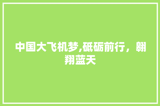 中国大飞机梦,砥砺前行，翱翔蓝天