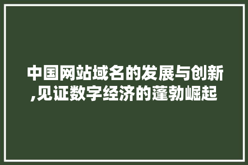 中国网站域名的发展与创新,见证数字经济的蓬勃崛起 中国网站域名的发展与创新,见证数字经济的蓬勃崛起 SEO关键词