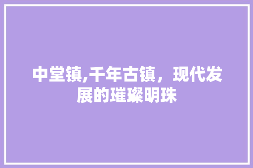 中堂镇,千年古镇，现代发展的璀璨明珠 中堂镇,千年古镇，现代发展的璀璨明珠 网站建设公司
