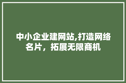 中小企业建网站,打造网络名片，拓展无限商机 中小企业建网站,打造网络名片，拓展无限商机 网站建设公司