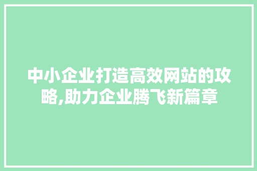 中小企业打造高效网站的攻略,助力企业腾飞新篇章