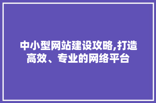 中小型网站建设攻略,打造高效、专业的网络平台