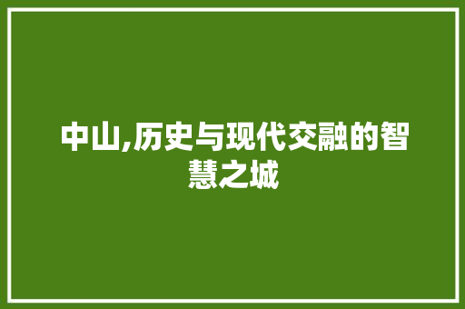 中山,历史与现代交融的智慧之城 中山,历史与现代交融的智慧之城 SEO关键词