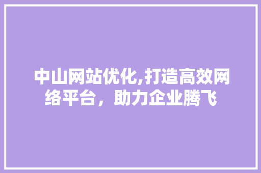 中山网站优化,打造高效网络平台，助力企业腾飞 中山网站优化,打造高效网络平台，助力企业腾飞 网站建设公司