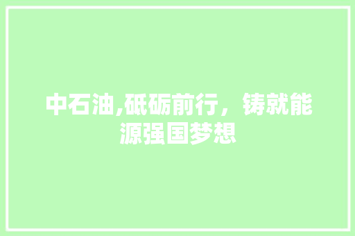 中石油,砥砺前行，铸就能源强国梦想 中石油,砥砺前行，铸就能源强国梦想 神马SEO