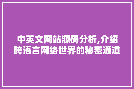 中英文网站源码分析,介绍跨语言网络世界的秘密通道 中英文网站源码分析,介绍跨语言网络世界的秘密通道 搜狗SEO
