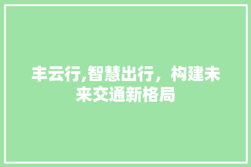丰云行,智慧出行，构建未来交通新格局