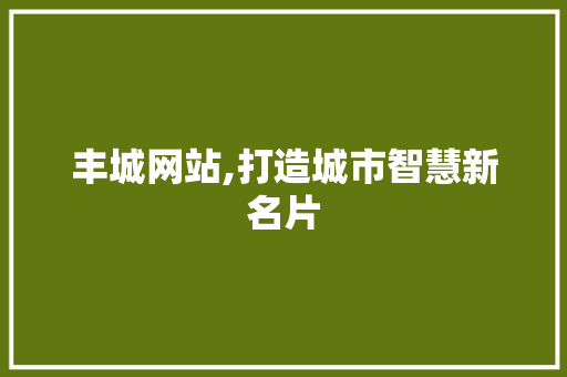 丰城网站,打造城市智慧新名片 丰城网站,打造城市智慧新名片 网站建设公司