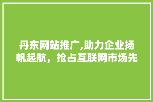 丹东网站推广,助力企业扬帆起航，抢占互联网市场先机 丹东网站推广,助力企业扬帆起航，抢占互联网市场先机 神马SEO