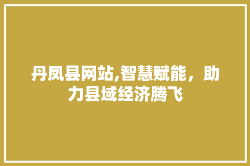 丹凤县网站,智慧赋能，助力县域经济腾飞 丹凤县网站,智慧赋能，助力县域经济腾飞 网站建设公司