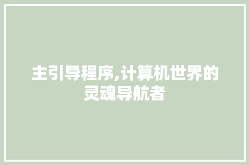 主引导程序,计算机世界的灵魂导航者 主引导程序,计算机世界的灵魂导航者 百度SEO