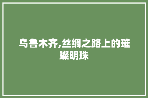 乌鲁木齐,丝绸之路上的璀璨明珠 乌鲁木齐,丝绸之路上的璀璨明珠 神马SEO