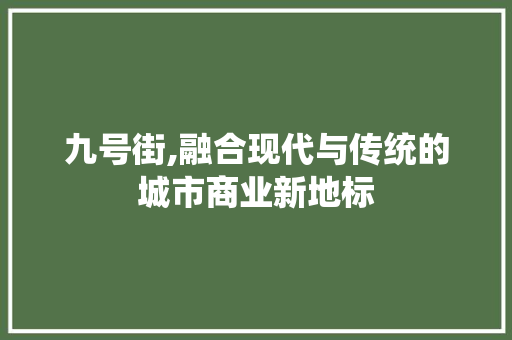 九号街,融合现代与传统的城市商业新地标
