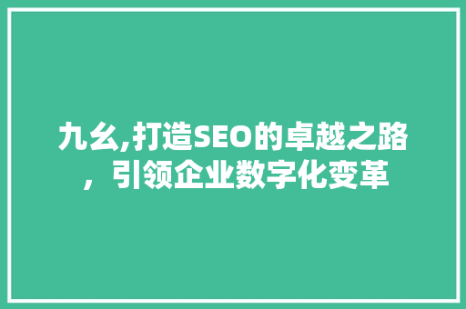 九幺,打造SEO的卓越之路，引领企业数字化变革 九幺,打造SEO的卓越之路，引领企业数字化变革 网站建设公司