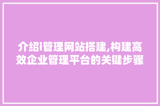 介绍i管理网站搭建,构建高效企业管理平台的关键步骤 介绍i管理网站搭建,构建高效企业管理平台的关键步骤 搜狗SEO