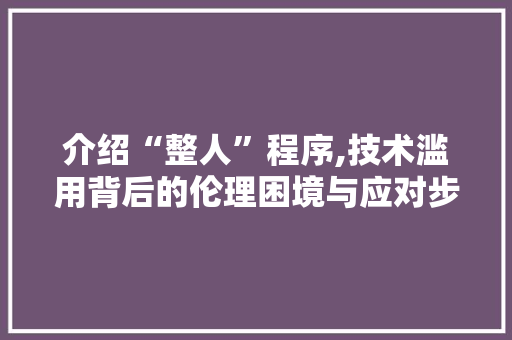 介绍“整人”程序,技术滥用背后的伦理困境与应对步骤 介绍“整人”程序,技术滥用背后的伦理困境与应对步骤 网站建设公司