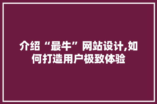 介绍“最牛”网站设计,如何打造用户极致体验