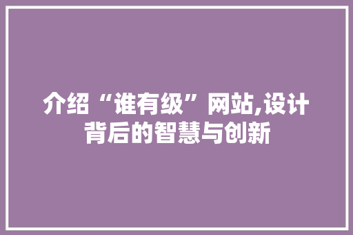 介绍“谁有级”网站,设计背后的智慧与创新 介绍“谁有级”网站,设计背后的智慧与创新 SEO关键词