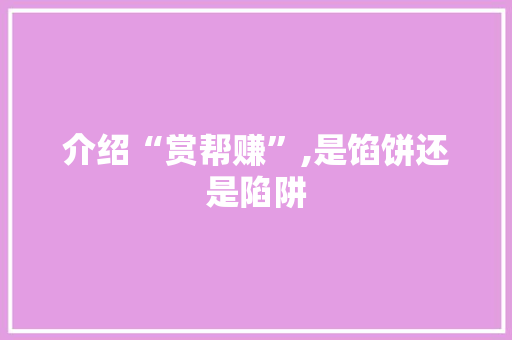 介绍“赏帮赚”,是馅饼还是陷阱 介绍“赏帮赚”,是馅饼还是陷阱 必应SEO