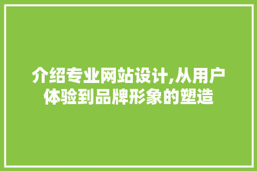 介绍专业网站设计,从用户体验到品牌形象的塑造 介绍专业网站设计,从用户体验到品牌形象的塑造 网站建设公司