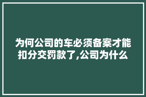 为何公司的车必须备案才能扣分交罚款了,公司为什么要去备案登记。 为何公司的车必须备案才能扣分交罚款了,公司为什么要去备案登记。 必应SEO