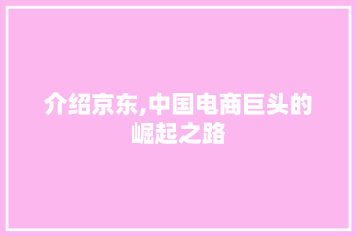 介绍京东,中国电商巨头的崛起之路 介绍京东,中国电商巨头的崛起之路 百度SEO