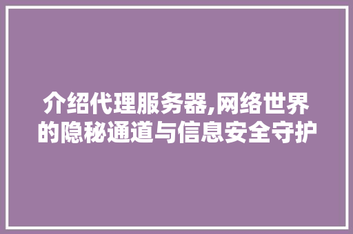 介绍代理服务器,网络世界的隐秘通道与信息安全守护者 介绍代理服务器,网络世界的隐秘通道与信息安全守护者 百度SEO