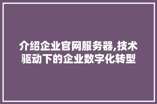 介绍企业官网服务器,技术驱动下的企业数字化转型 介绍企业官网服务器,技术驱动下的企业数字化转型 搜狗SEO