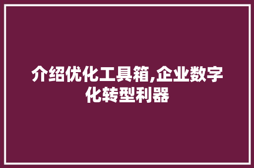 介绍优化工具箱,企业数字化转型利器 介绍优化工具箱,企业数字化转型利器 必应SEO