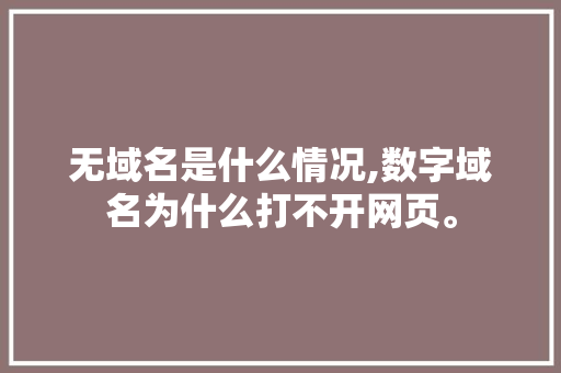 无域名是什么情况,数字域名为什么打不开网页。 无域名是什么情况,数字域名为什么打不开网页。 百度SEO