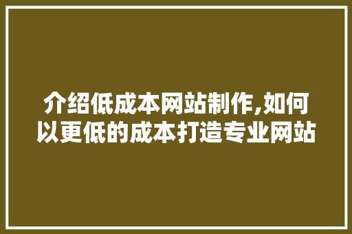 介绍低成本网站制作,如何以更低的成本打造专业网站 介绍低成本网站制作,如何以更低的成本打造专业网站 百度SEO