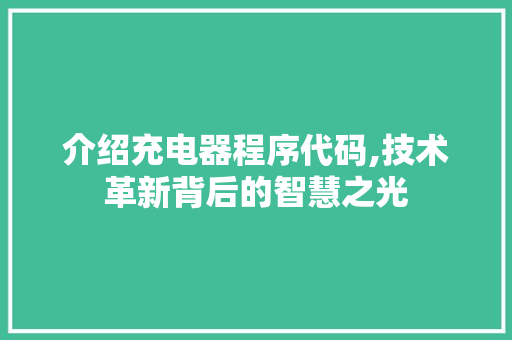 介绍充电器程序代码,技术革新背后的智慧之光 介绍充电器程序代码,技术革新背后的智慧之光 网站建设公司