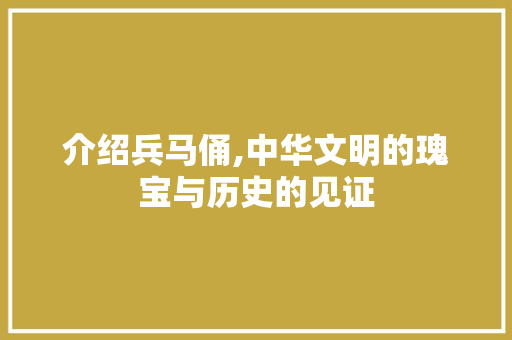 介绍兵马俑,中华文明的瑰宝与历史的见证 介绍兵马俑,中华文明的瑰宝与历史的见证 百度SEO