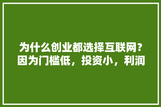 为什么创业都选择互联网？因为门槛低，投资小，利润大,为什么要创建网站呢。 为什么创业都选择互联网？因为门槛低，投资小，利润大,为什么要创建网站呢。 神马SEO