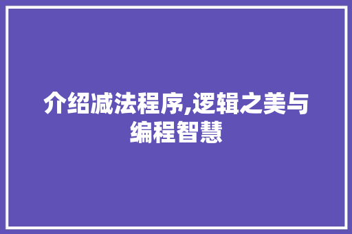 介绍减法程序,逻辑之美与编程智慧