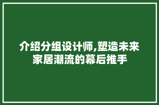 介绍分组设计师,塑造未来家居潮流的幕后推手 介绍分组设计师,塑造未来家居潮流的幕后推手 必应SEO