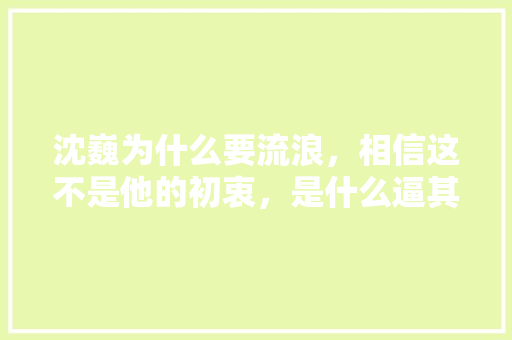 沈巍为什么要流浪，相信这不是他的初衷，是什么逼其走上了这条路,为什么要流浪地球。 沈巍为什么要流浪，相信这不是他的初衷，是什么逼其走上了这条路,为什么要流浪地球。 百度SEO