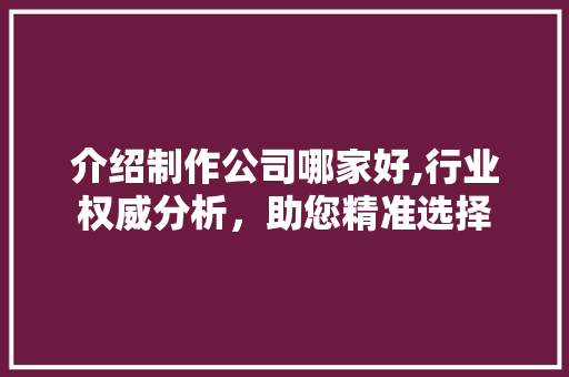 介绍制作公司哪家好,行业权威分析，助您精准选择